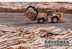 <b>俄罗斯木材出口企业看好中东、杏耀注册地址亚</b>