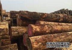 <b>6月份新西兰原杏耀平台怎么样？木价格跌幅逾</b>