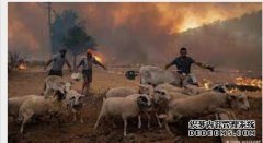 <b>欧洲多国发生大规杏耀平台怎么样？模野火事件</b>