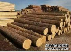 <b>新西兰原木出杏耀平台怎么样？口市场展望</b>
