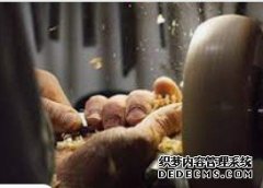 <b>杏耀注册平台上半年中国家具制造业营收3604亿元</b>