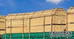 <b>杏耀代理木工机械下半年俄罗斯木材出口可能出</b>