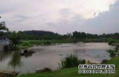 <b>2021年福建林业产杏耀代理木工机械业总产值达</b>