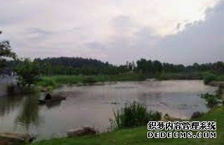 杏耀代理在线注册,杏耀注册线路测试