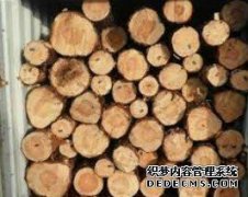 <b>广西钦州3.7万立方米胶杏耀平台注册登录地址合</b>