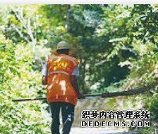 杏耀怎么当代理？,杏耀总代理