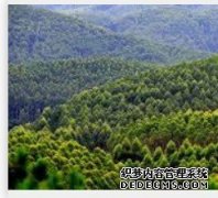<b>广西将建全国首个杏耀注册好不好？现代林业产</b>