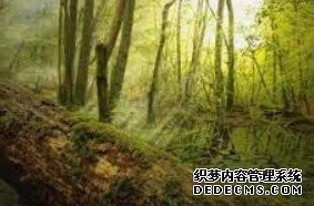 杏耀官方登录,杏耀登录入口