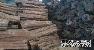 杏耀平台怎么样？,杏耀登录注册