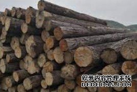 杏耀官网,杏耀木业集团