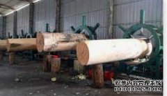 <b>加蓬吸引中国企杏耀注册业加强木业产能合作</b>