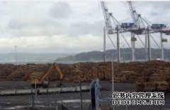 <b>12月份新西兰出口原杏耀注册木价格受汇率影响走</b>