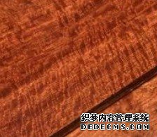 杏耀代理品牌聚焦,杏耀平台网站