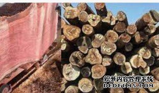杏耀平台登录,杏耀平台注册行吗？