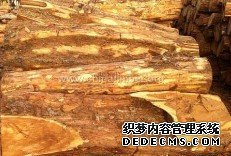 杏耀登录注册,杏耀注册网址