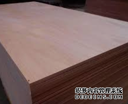 杏耀主管经营理念,杏耀招商月回馈