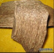 <b>鸟足紫檀的心材杏耀代理特点与鉴别要点</b>
