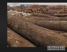<b>杏耀注册紫檀中的上品—油黑紫檀</b>