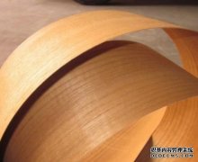 <b>浅谈海南黄花梨鬼脸形杏耀成的原因</b>
