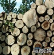 <b>木材百杏耀注册科—条纹乌木</b>