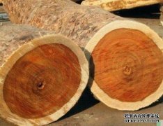 <b>木材百科—杏耀注册非洲科檀</b>
