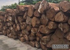 <b>杏耀注册木材百科—草花梨</b>
