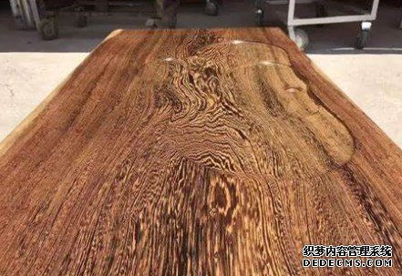 杏耀登录网址,杏耀登录网站