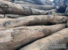<b>谈谈木材和杏耀官网人造板的蠕变</b>
