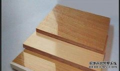 <b>杏耀木材百科—水曲柳</b>