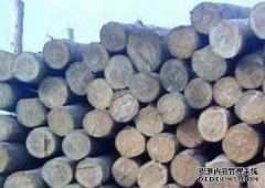 <b>建筑木方的常见杏耀注册用途有哪些</b>