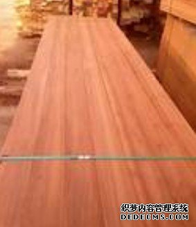 杏耀主管经营理念,杏耀登录入口