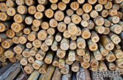 <b>杏耀注册木材的平衡含水率</b>