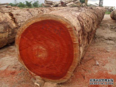 杏耀注册网址,杏耀注册地址