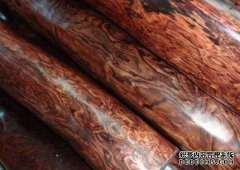<b>杏耀注册木材百科—木材的树种和分类</b>