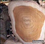 <b>怎样控制木门涂装杏耀代理成本？</b>