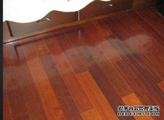 <b>砍伐自己承包杏耀代理的林木涉嫌犯罪吗？</b>
