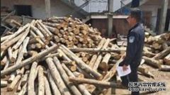<b>湖南桃源开展木材杏耀官网收购加工企业安全生</b>