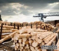 <b>杏耀注册乌干达政府禁止出口木材</b>