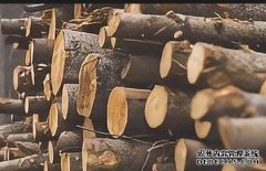 <b>杏耀注册国内木业行业“零碳”会议在江苏灌南</b>