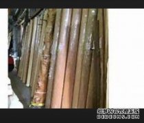 <b>2023年6月29日中国进杏耀口原木价格行情</b>