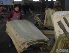 <b>杏耀注册欧洲协会呼吁限制橡木原木出口</b>