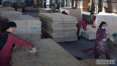 <b>福建首个“碳中和”杏耀注册工业园</b>