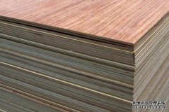 <b>杏耀注册临沂木业产业等12个重点产业工作专班推</b>