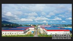 <b>正源股份：两家杏耀代理人造板业务子公司将临</b>