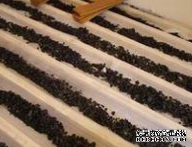 杏耀注册车款,杏耀注册研发专利
