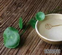 <b>木质家具防杏耀代理水防潮几妙招</b>