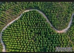 <b>杏耀代理美国或将对越南进口家具征收关税！</b>