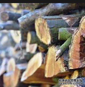 杏耀代理品牌聚焦,杏耀平台网站