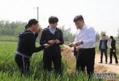 <b>杏耀注册菏泽林业产业规模质量效益稳步提升</b>
