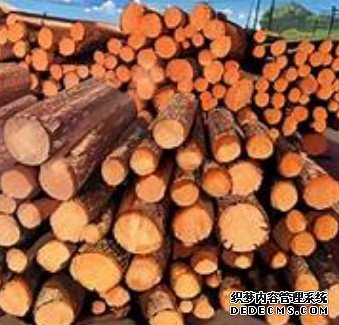 杏耀注册登录中心,杏耀网上不去了？